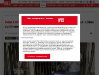 Bild zum Artikel: Kein Futter, dafür Kot und Schimmel: Hunde aus Kölns schlimmsten Ekel-Zwingern befreit