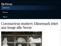 Bild zum Artikel: Coronavirus mutiert: Dänemark tötet aus Sorge alle Nerze