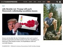 Bild zum Artikel: Alle Bezirke rot: Trump will auch Österreich vollständig auszählen lassen