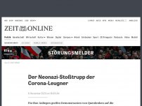 Bild zum Artikel: Der Neonazi-Stoßtrupp der Corona-Leugner