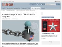 Bild zum Artikel: Julian Assange in Haft: 'Sie töten ihn langsam'