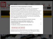 Bild zum Artikel: Schock-Bilder aus Dänemark - Massengräber für Corona-Nerze