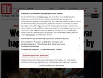 Bild zum Artikel: PAUL RONZHEIMER ABOUT THE KARABAKH CONFLICT - We have watched this war happen