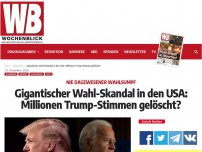 Bild zum Artikel: Gigantischer Wahl-Skandal in den USA: Millionen Trump-Stimmen gelöscht?