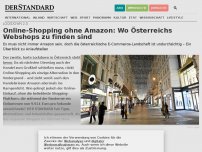 Bild zum Artikel: Online-Shopping ohne Amazon: Wo österreichische Webshops zu finden sind