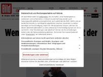Bild zum Artikel: Der Wahnsinn geht weiter - Wendler fordert Rücktritt der Bundesregierung