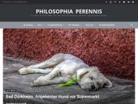 Bild zum Artikel: Bad Dürkheim: Angeleinter Hund vor Supermarkt gemessert