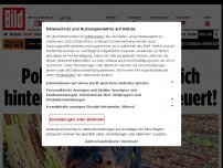 Bild zum Artikel: Magnus aus Osnabrück - Polizeihund versteckt sich hinter Hundeführer – gefeuert!
