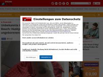 Bild zum Artikel: In Österreich - Unbekannte treten trächtiger Hündin in Bauch: Huskydame verliert ihre ungeborenen Welpen