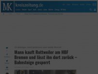 Bild zum Artikel: Mann kauft Rottweiler am Bremer Bahnhof und lässt ihn später dort zurück – Bahnsteige gesperrt