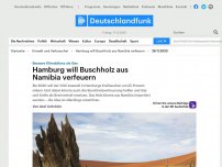Bild zum Artikel: Deutschlandfunk | Umwelt und Verbraucher | Buschholz aus Namibia zum Verbrennen?