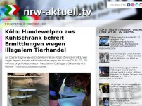 Bild zum Artikel: Köln: Hundewelpen aus Kühlschrank befreit - Ermittlungen wegen illegalem Tierhandel