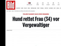 Bild zum Artikel: POLIZEI FAHNDET NACH  2 MÄNNERN - Hund rettet Frauchen (34) vor Vergewaltiger