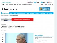 Bild zum Artikel: Meine CDU ist nicht braun
