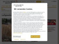Bild zum Artikel: Landgericht Frankfurt entscheidet: Luftgewehrschüsse auf Katze sind keine Tierquälerei