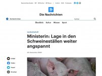 Bild zum Artikel: Landwirtschaft - Ministerin: Lage in den Schweineställen weiter angspannt
