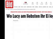Bild zum Artikel: „LUCKY“ WAR SCHWER VERLETZT - Jessica rettete Huhn aus Straßengraben