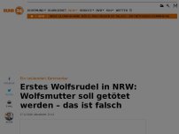 Bild zum Artikel: Wolfsmutter im ersten NRW-Wolfsrudel soll getötet werden – das ist irre