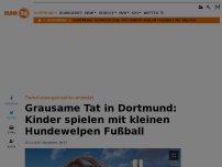 Bild zum Artikel: Grausame Tat in Dortmund: Kinder spielen mit Hundewelpen Fußball