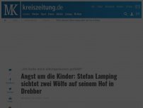 Bild zum Artikel: Angst um die Kinder: Stefan Lamping sichtet zwei Wölfe auf seinem Hof in Drebber