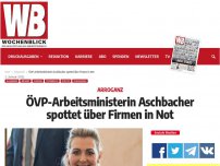 Bild zum Artikel: ÖVP-Aschbacher spottet über Firmen in Not