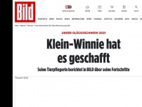 Bild zum Artikel: Unser Glücksschwein 2021 - Klein-Winnie hat es geschafft