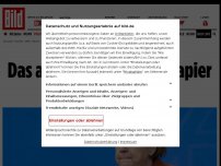 Bild zum Artikel: Verbote! Eigenlob! Schuldzuweisung! - Das absurdeste Merkel-Papier aller Zeiten