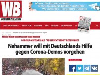 Bild zum Artikel: Nehammer will mit Deutschlands Hilfe gegen Corona-Demos vorgehen
