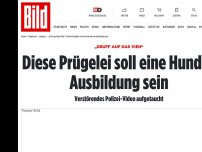 Bild zum Artikel: „Druff auf das Vieh“ - Diese Prügelei soll eine Hunde-Ausbildung sein