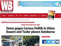 Bild zum Artikel: Demo gegen Corona-Politik in Wien: Bauern und Taxler planen Autokorso