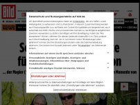 Bild zum Artikel: Nach schwerem Krebsleiden - Magier Siegfried ist tot