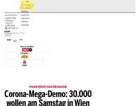 Bild zum Artikel: Corona-Mega-Demo: 30.000 wollen am Samstag in Wien aufmarschieren