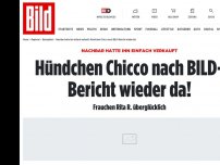 Bild zum Artikel: Nachbar hatte ihn einfach verkauft - Hündchen Chicco ist wieder da!