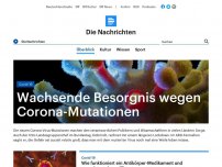Bild zum Artikel: Rechte Bewegungen - 'Das Phänomen ist jetzt schon viel problematischer als wir anerkennen'