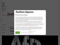 Bild zum Artikel: F.A.Z. exklusiv: Beobachtung der AfD steht unmittelbar bevor