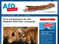 Bild zum Artikel: Streit und Spaltung in der CDU: Mitglieder befürchten „Untergang“!
