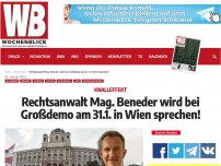 Bild zum Artikel: Rechtsanwalt Dr. Beneder wird bei Großdemo am 31.1. in Wien sprechen!
