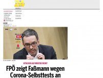 Bild zum Artikel: FPÖ zeigt Faßmann wegen Corona-Selbsttests an