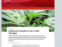 Bild zum Artikel: Erfolg mit Cannabis in der Covid-Therapie