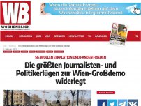 Bild zum Artikel: Die größten Journalisten- und Politikerlügen zur Wien-Großdemo widerlegt