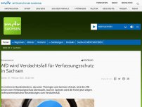 Bild zum Artikel: AfD wird Verdachtsfall für Verfassungsschutz in Sachsen