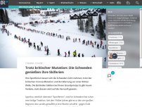 Bild zum Artikel: Trotz britischer Mutation: Die Schweden genießen ihre Skiferien