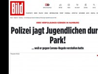 Bild zum Artikel: Streifenwagen jagt Jugendlichen - Wilde Verfolgungsjagd in Hamburger Park