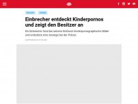 Bild zum Artikel: Einbrecher entdeckt Kinderpornos und zeigt den Besitzer an