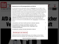 Bild zum Artikel: Verfassungsschutz beobachtet - AfD als „rechtsextremistischer Verdachtsfall“ eingestuft