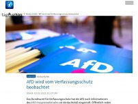 Bild zum Artikel: AfD wird vom Verfassungsschutz beobachtet