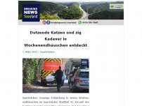 Bild zum Artikel: Dutzende Katzen und zig Kadaver in Wochenendhäuschen entdeckt