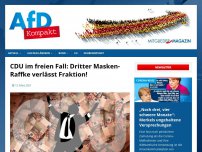 Bild zum Artikel: CDU im freien Fall: Dritter Masken-Raffke verlässt Fraktion!