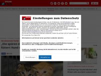 Bild zum Artikel: Schockierender Vorfall - „Die spüren das ja eh nicht“: Österreicherin füttert Hund mit Katzenbabys
