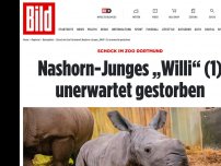 Bild zum Artikel: Schock im Zoo Dortmund - Nashorn-Junges „Willi“ (1) ist tot